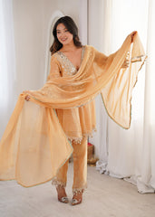 Stunning Chiku Fendy with Embroidered Lace Kurti Set