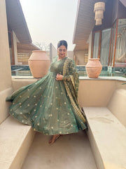 Amazing Pista Green Embroidery Anarkali Gown