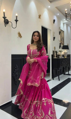 Pink Heavy Sequence Work Stunning Sharara Palazzo