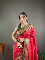 Preferable Red Color Rangeen Patola Silk Saree